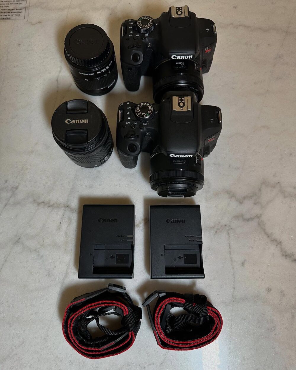 Buy Canon EOS Rebel T7i 24.2 MP Digital SLR Camera with Student Discount | Apple Mac Man